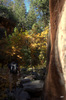 photo thumbnail #10