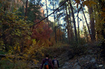 photo thumbnail #12