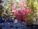 photo thumbnail #1