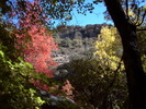 photo thumbnail #3