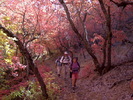photo thumbnail #5