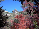 photo thumbnail #6