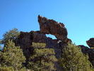 photo thumbnail #10