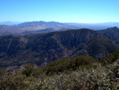 photo thumbnail #14