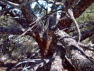 photo thumbnail #15