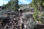 photo thumbnail #4