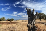 photo thumbnail #8