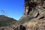 photo thumbnail #13