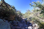 photo thumbnail #14