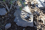 photo thumbnail #15