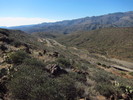 photo thumbnail #1