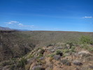 photo thumbnail #12