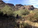 photo thumbnail #2