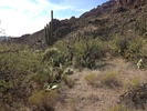 photo thumbnail #4