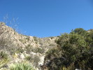 photo thumbnail #8