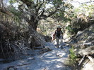 photo thumbnail #15