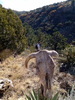 photo thumbnail #8
