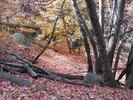photo thumbnail #8
