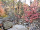 photo thumbnail #10