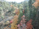 photo thumbnail #11