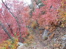 photo thumbnail #12