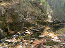 photo thumbnail #8