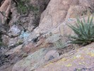 photo thumbnail #1