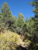 photo thumbnail #5