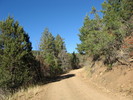 photo thumbnail #8