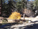 photo thumbnail #10