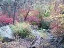 photo thumbnail #8