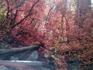 photo thumbnail #10