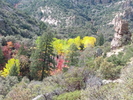 photo thumbnail #14