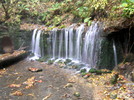 photo thumbnail #1