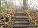 photo thumbnail #5