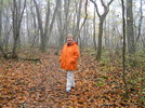 photo thumbnail #10