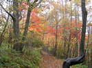 photo thumbnail #11