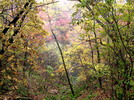 photo thumbnail #12