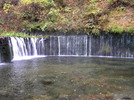 photo thumbnail #14