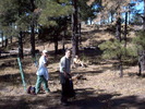 photo thumbnail #2