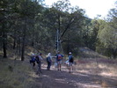 photo thumbnail #6
