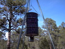 photo thumbnail #7