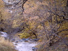 photo thumbnail #12