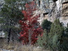 photo thumbnail #13