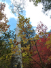 photo thumbnail #13