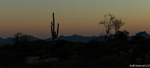 photo thumbnail #15
