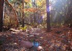 photo thumbnail #8