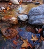 photo thumbnail #13