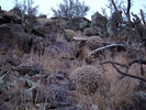 photo thumbnail #8