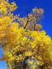 photo thumbnail #15